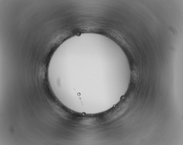 X0000113910458200910151421