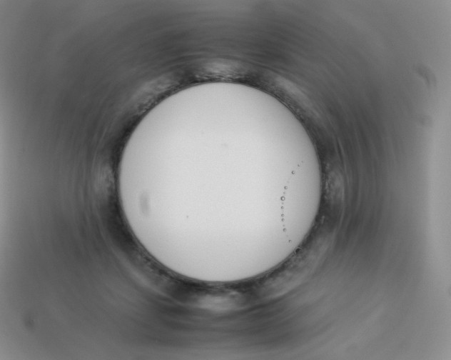 X0000113910459200910151421