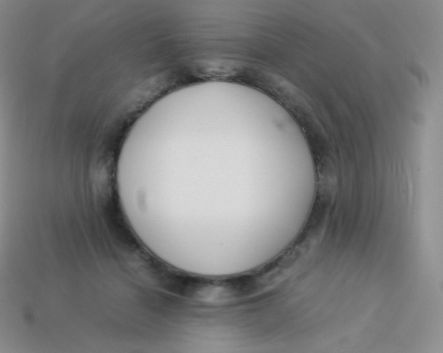 X0000113910460200910151421