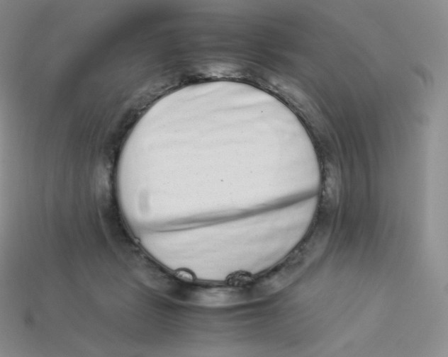 X0000113910461200910151421