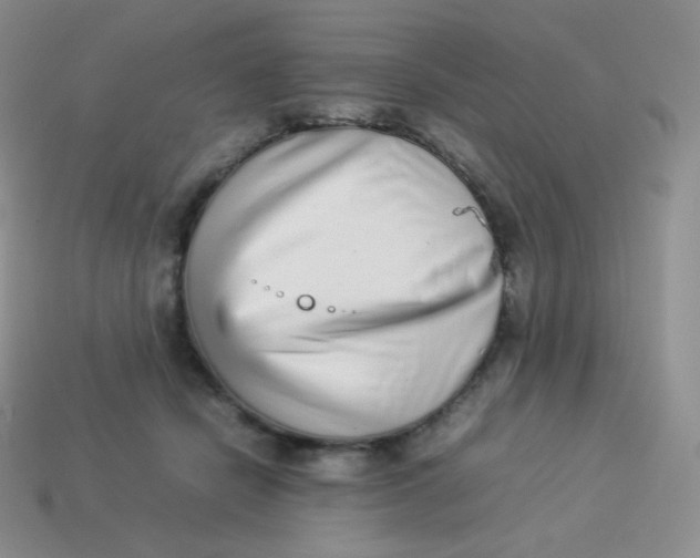 X0000113910462200910151421