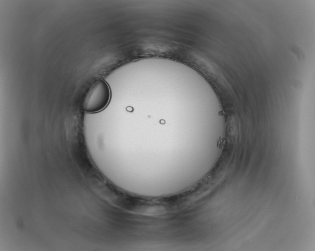 X0000113910463200910151421