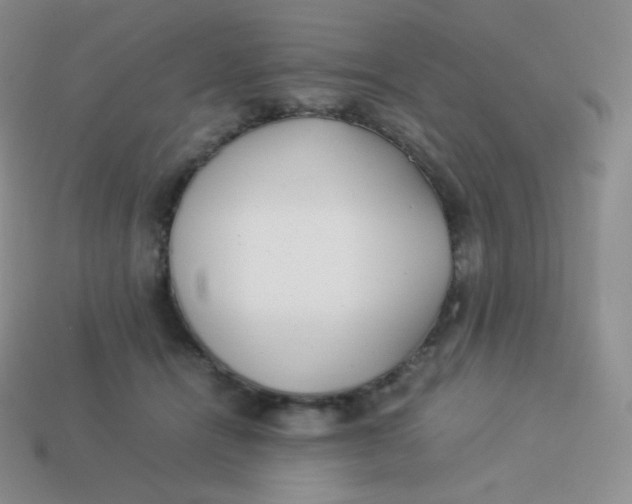 X0000113910464200910151421