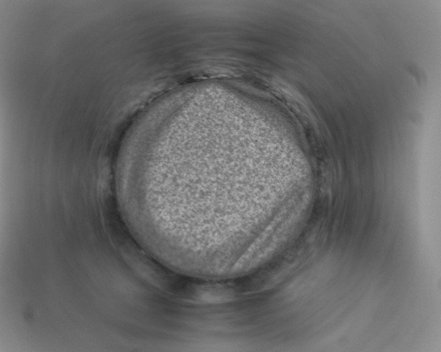 X0000113910465200910151421