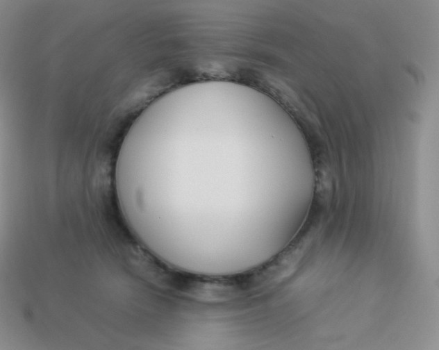 X0000113910466200910151421