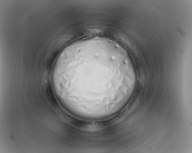 X0000113910467200910151421