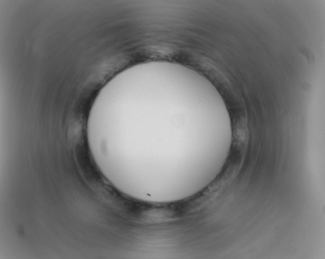 X0000113910468200910151421