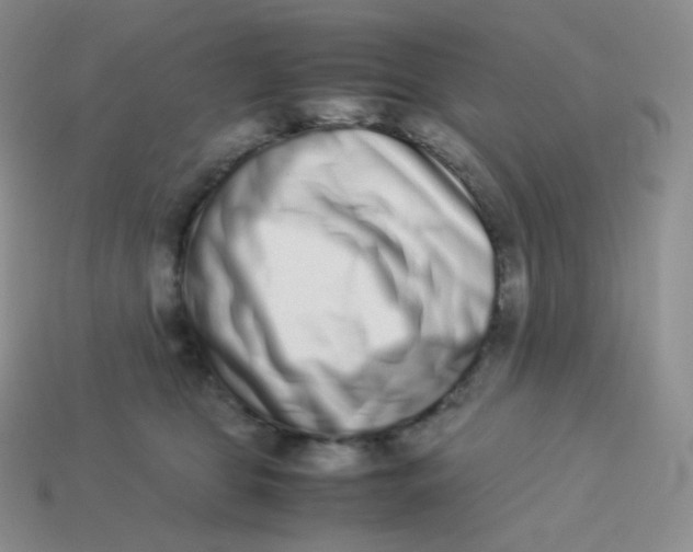 X0000113910469200910151421