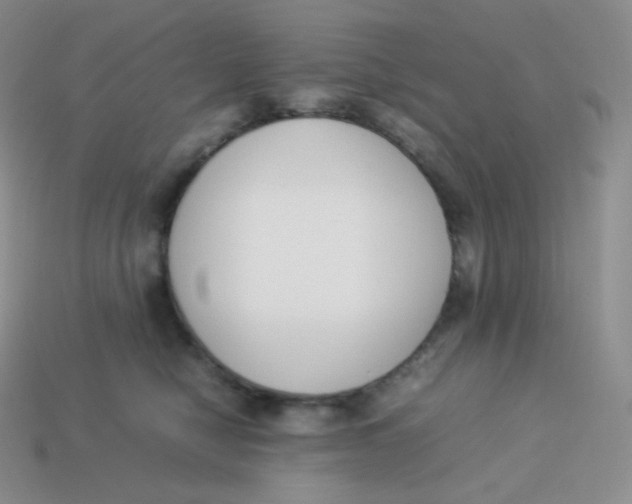 X0000113910470200910151421