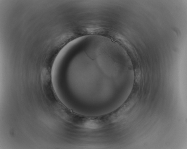 X0000113910471200910151421