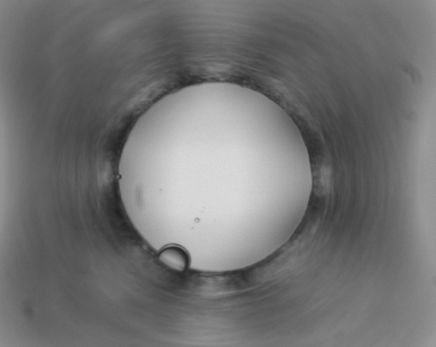 X0000113910472200910151421