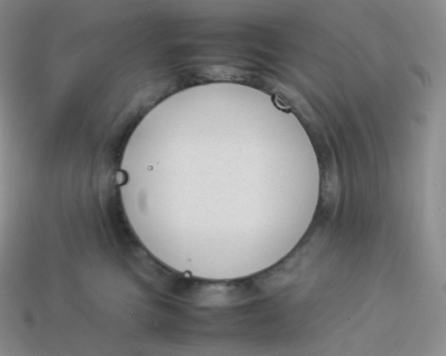 X0000113910473200910151421