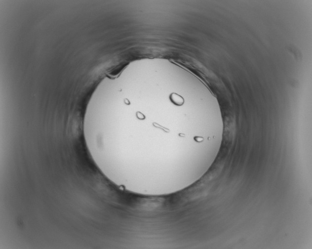 X0000113910474200910151421