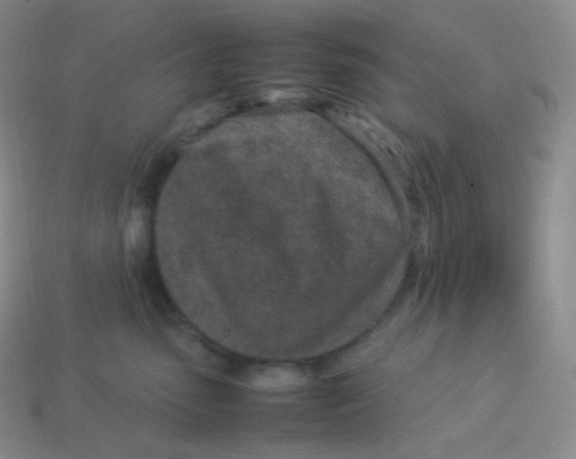 X0000113910475200910151422