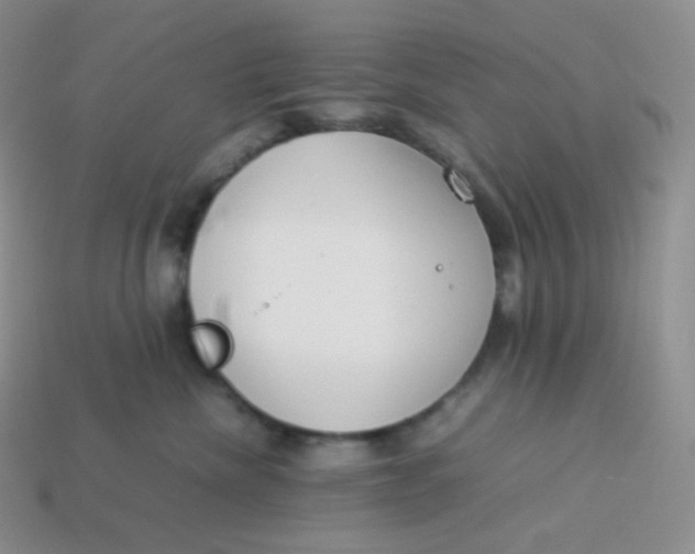 X0000113910476200910151422