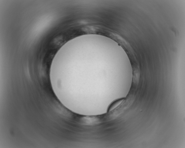 X0000113910477200910151422