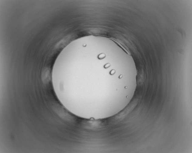 X0000113910478200910151422