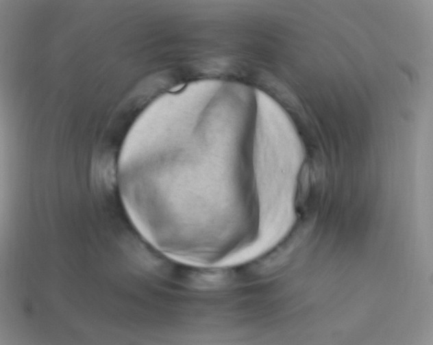 X0000113910479200910151422