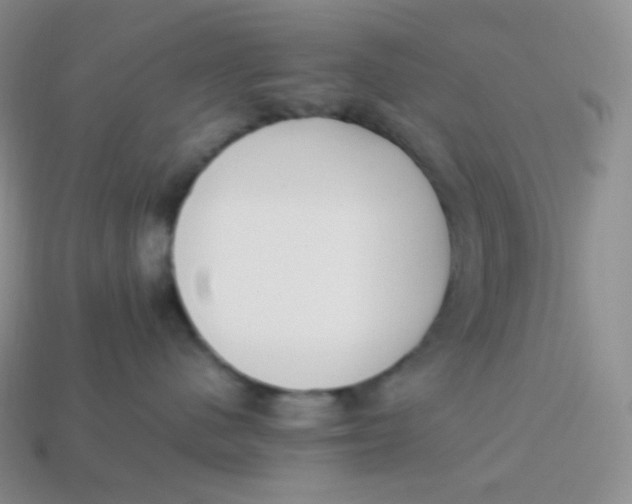 X0000113910480200910151422