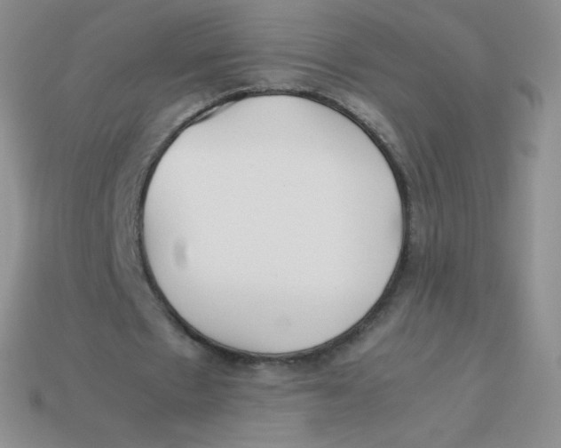 X0000113910481200910151421