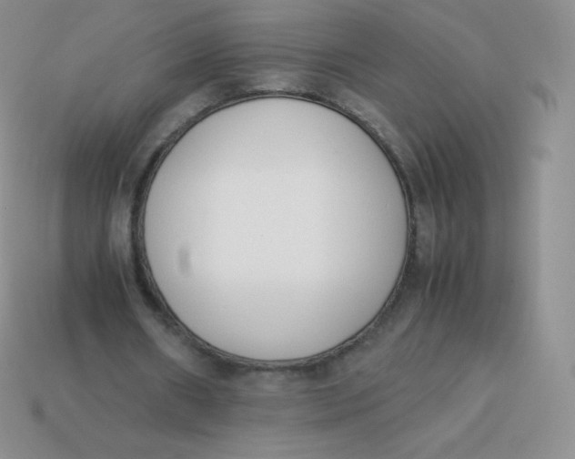 X0000113910482200910151421