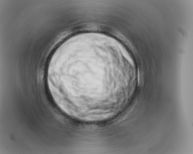 X0000113910483200910151421