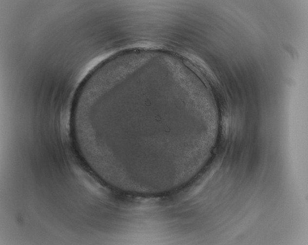 X0000113910484200910151421