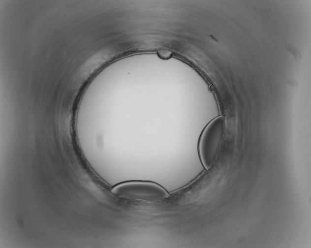 X0000113910485200910151421