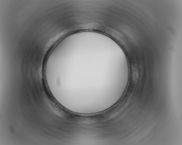 X0000113910486200910151421