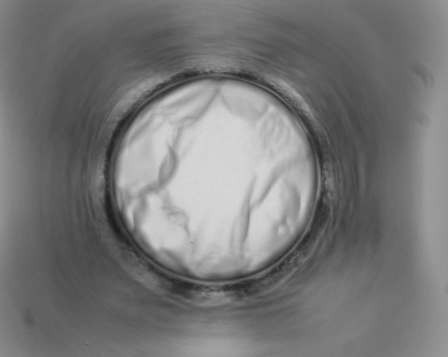 X0000113910487200910151421