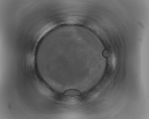 X0000113910488200910151421