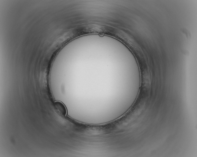 X0000113910489200910151421