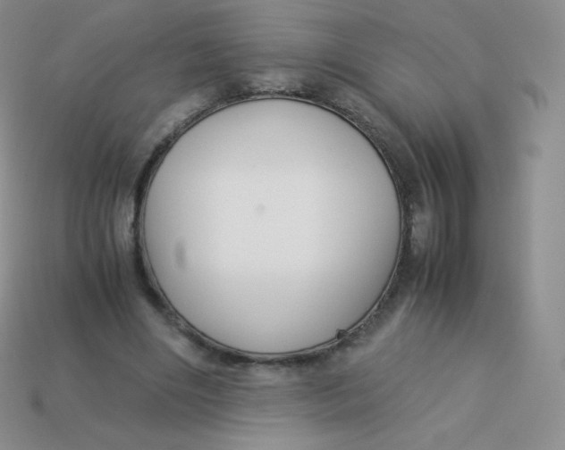 X0000113910490200910151421