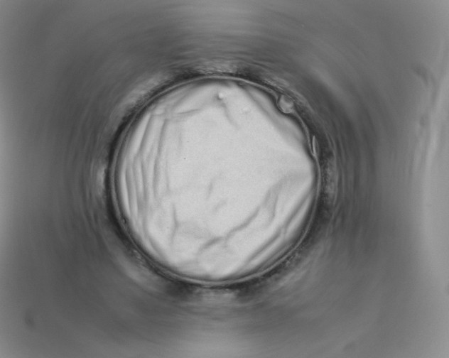 X0000113910491200910151421