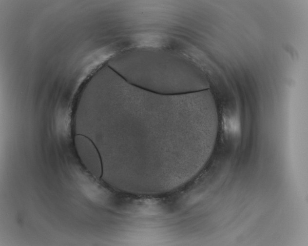 X0000113910492200910151421