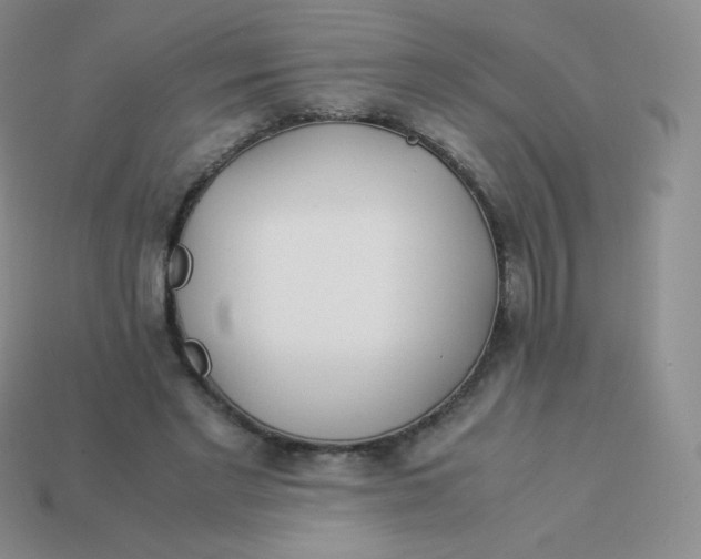 X0000113910493200910151421