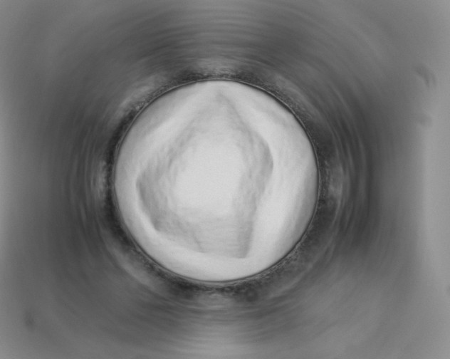 X0000113910494200910151421