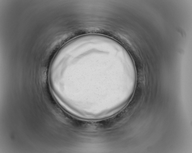 X0000113910495200910151421