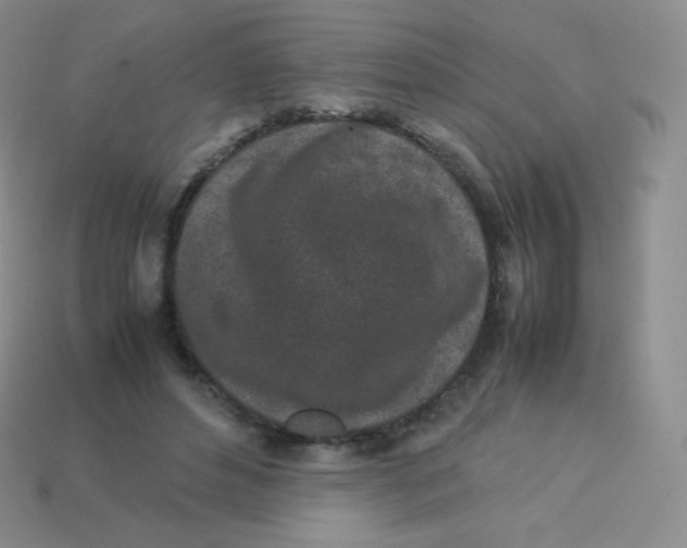 X0000113910496200910151421