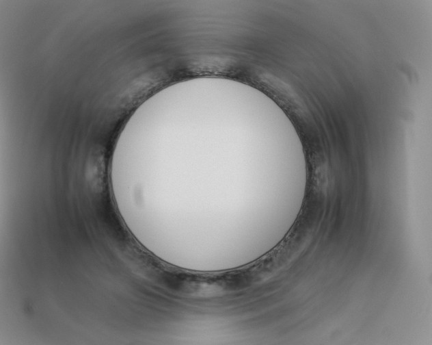 X0000113910498200910151421