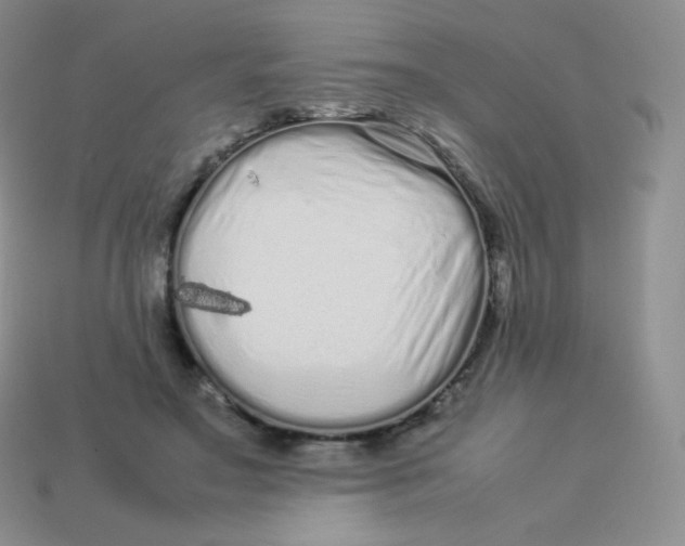 X0000113910499200910151421