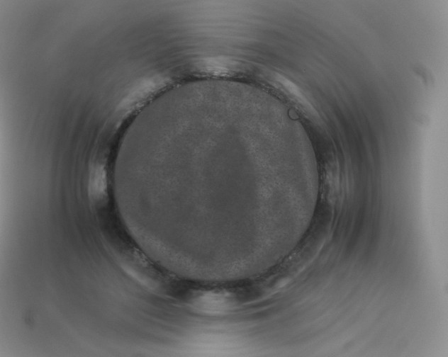 X0000113910500200910151421