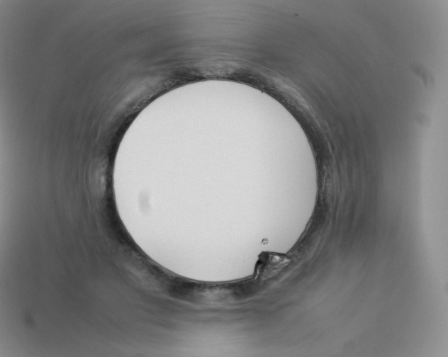 X0000113910501200910151421