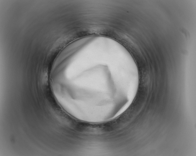 X0000113910502200910151421