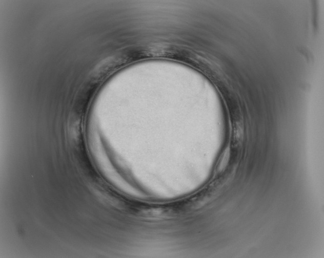 X0000113910503200910151421