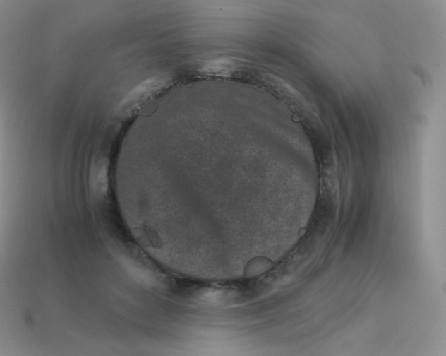 X0000113910504200910151421