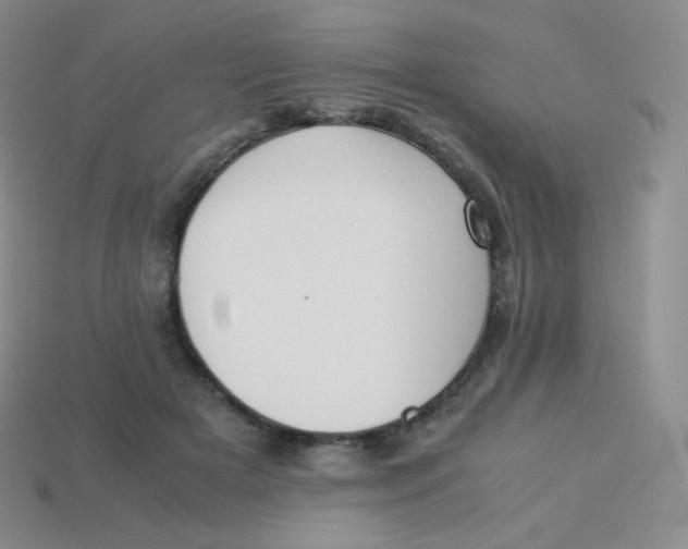 X0000113910505200910151421