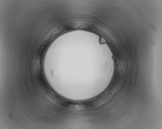 X0000113910506200910151420