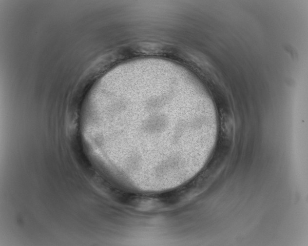 X0000113910507200910151420