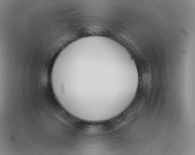 X0000113910508200910151420